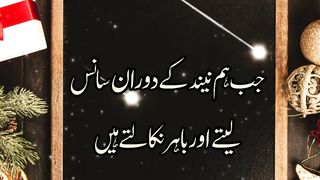 Hm kharaty ku lety hain #informative #dailyvideo @Kashaf butt