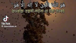 সূরা হাশর