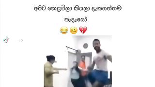 Nadayooii