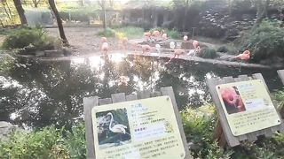 Visiting Animal zoo