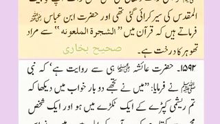 اسلامی معلومات 758