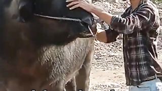 Gujjar 4