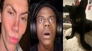 TRY NOT TO LAUGH ???? NEW Best Funny Meme Videos