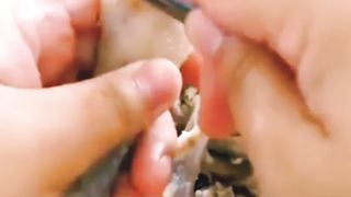 Ceker ayam