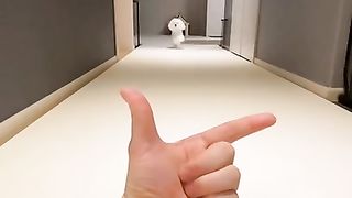 funny and cute