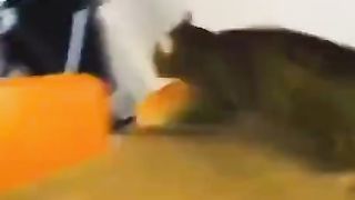 Funnny 3