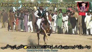 #foryou #foryoupage #fyp #Ahmad#horsepower#trendin32