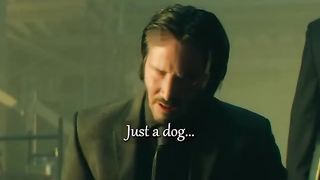 Jhon Wick