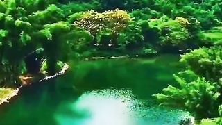 Amazing video 143