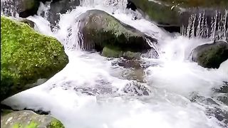 Amazing video 145