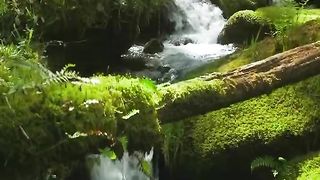 Amazing video 146