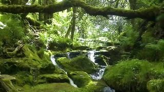 Amazing video 147