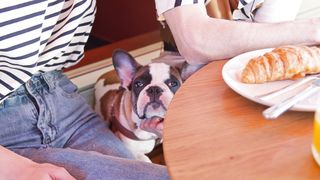 "Start Your Day Right: Gourmet Breakfasts to Ignite Your Taste Buds!"