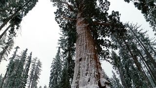 Winter Weather | Peaceful Environment | Amazing Scenery | Meditation