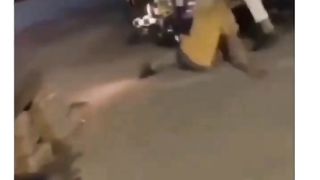 शादी के सिजन का भटका हुआ नाग