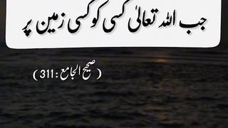 Hazrat Muhammad Saw Ki hadees 44
