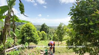 Menikmati keseruan di kebun dengan menikmati hasil kebun sendiri