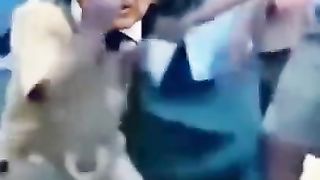 pakistani tiktok funny compilation 2022 pakistani funny tiktok videos pakistani funny pakistani