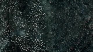 INTO THE BADLANDS Season 3 Official Trailer (HD) Daniel Wu Martial Arts Series