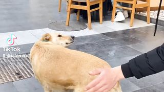 Funny video ???? 49