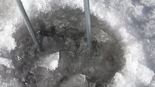 Satisfying DEEP Freeze Scoop