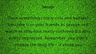 Slang Words 1