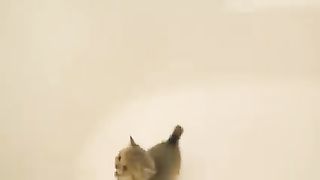 kiten meywwww