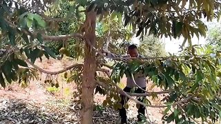 Kebun durian terluas di Bombana