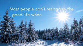 Quotes of the day #48