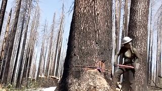 incredible satisfying video