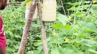 Cara ampuh menjadi petani hebat dan sukses