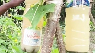 Jenis pupuk buatan terbaik untuk tanaman
