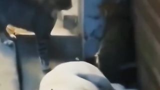 KLAKUAN absurd HEWAANNII