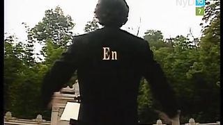 Alguna vez 29