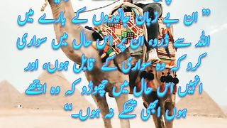 Janwaron Par Rehem | Hadees Quotes