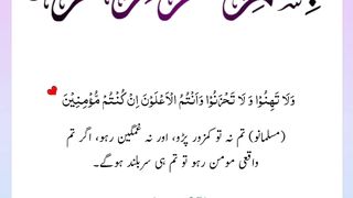 Quran , Al Quran Surah 03 Ayat 139 #viral #shorts #quran #youtubeshorts