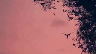 relaxation music