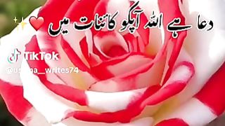 Lovely 155