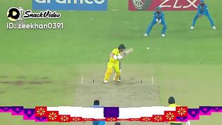 Australia batting highlights in final