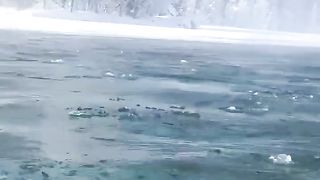 Amazing video 148
