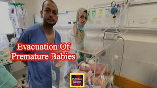 Premature babies evacuated from Gaza's al-Shifa hospital