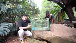 TAMBAH BURUNG GELATIK JAWA, AVIARY RAME BANGETTT.!!