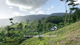 Berpetualang dikebun cabe sambil menikmati pemandangan alam