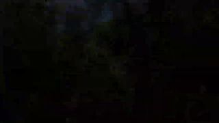 Suasana perkebunan cengkeh
