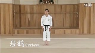 Performing Gankaku kata from shotokan style karate