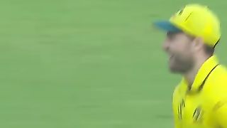 WORLD CUP 2023 LIVE FINAL MATCH