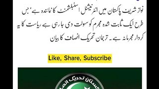 "N-League's journey is from giving respect to vote to 'Sadi Gul Ho Gayi Ae'"