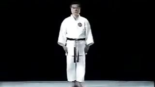 Performing the kata Heian Yondan from Shitoryu style karate