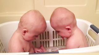 Twins Share A Pacifier _ Cutest Moments _