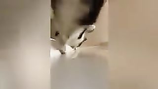 Extreme_try_not_to_laugh